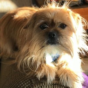 Meet your Posher, Kimani